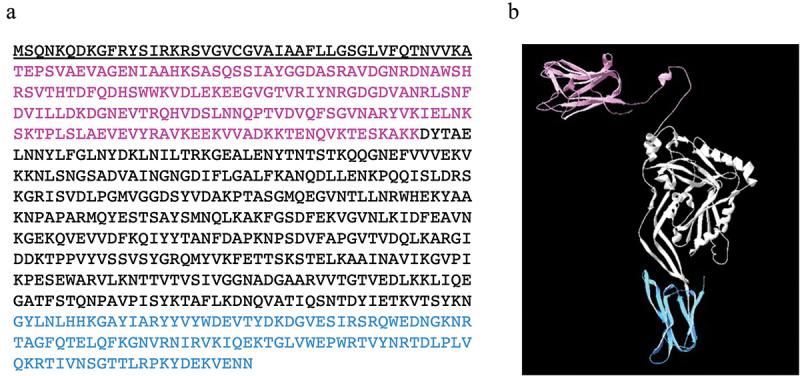 https://cdn.ncbi.nlm.nih.gov/pmc/blobs/39fe/9351568/f6fa81d1e5ab/ZJOM_A_2105013_F0001_OC.jpg