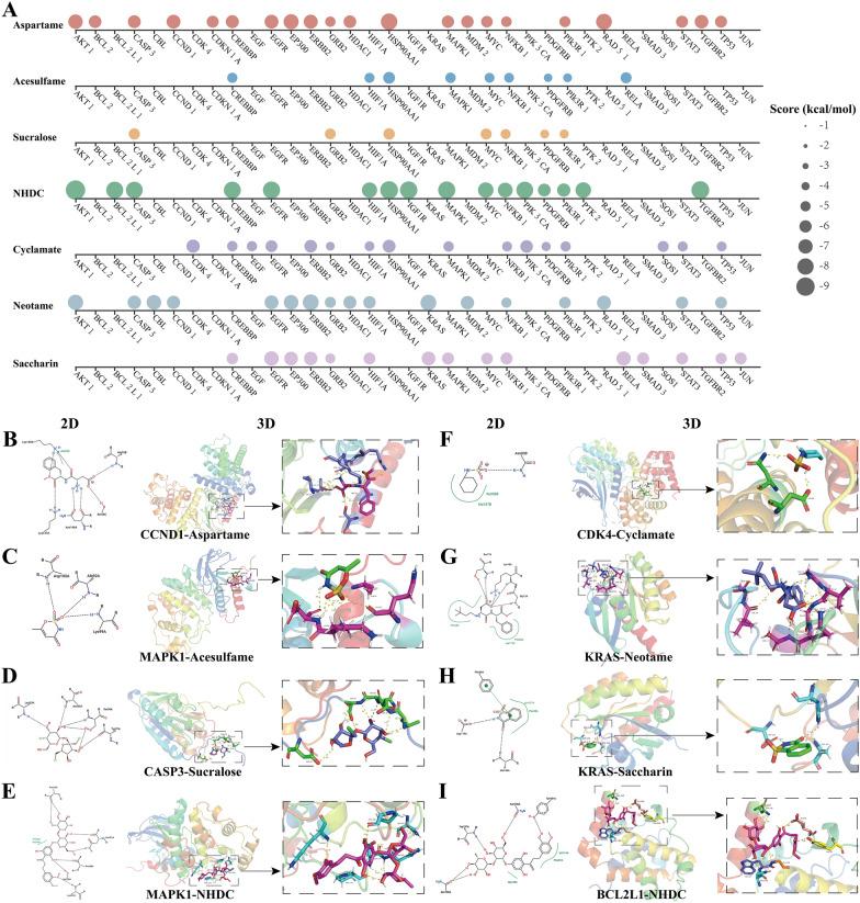 https://cdn.ncbi.nlm.nih.gov/pmc/blobs/39ff/11708064/734fec0ad993/12967_2024_6047_Fig5_HTML.jpg