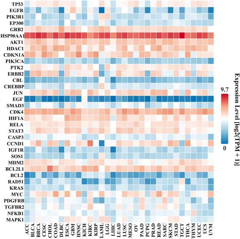 https://cdn.ncbi.nlm.nih.gov/pmc/blobs/39ff/11708064/a5300d9a7194/12967_2024_6047_Fig7_HTML.jpg