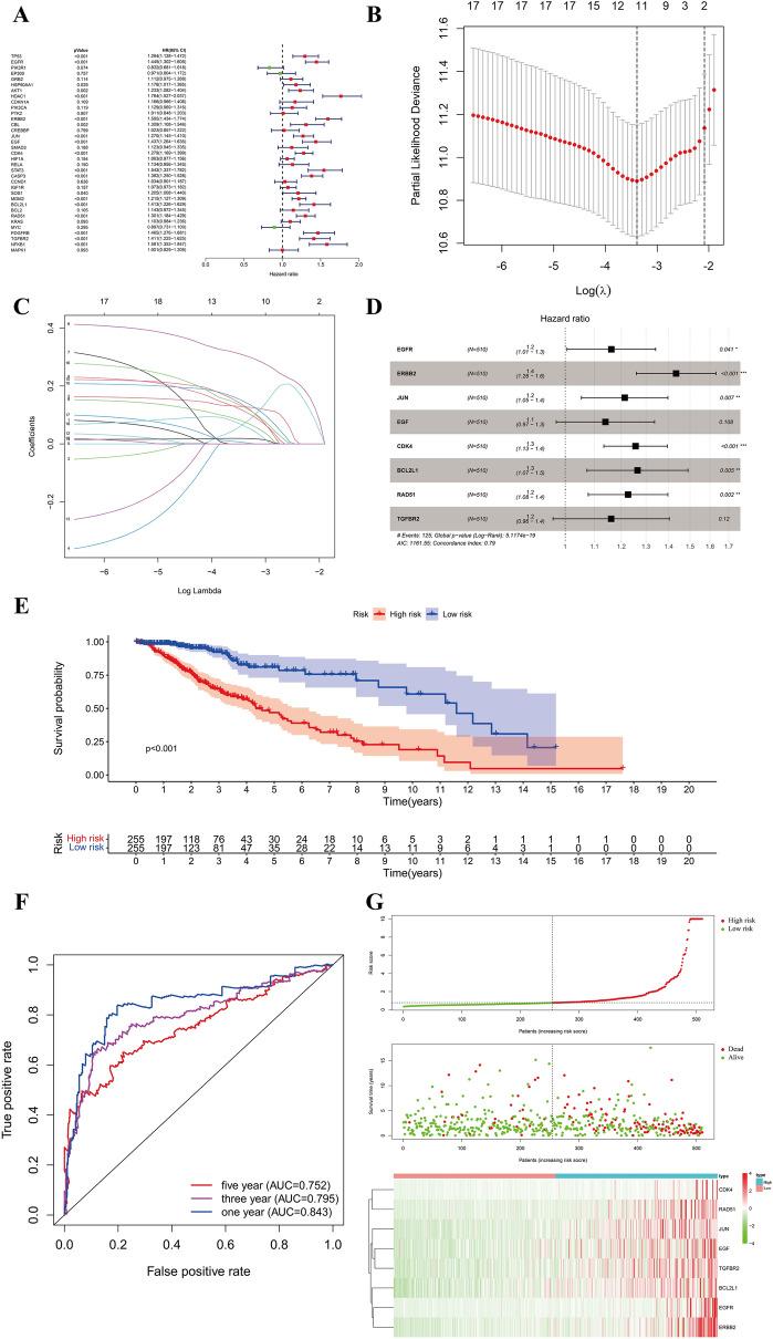 https://cdn.ncbi.nlm.nih.gov/pmc/blobs/39ff/11708064/d6f561bb47c5/12967_2024_6047_Fig11_HTML.jpg