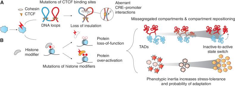 https://cdn.ncbi.nlm.nih.gov/pmc/blobs/3a00/10784746/3c56c08c8bff/36fig3.jpg