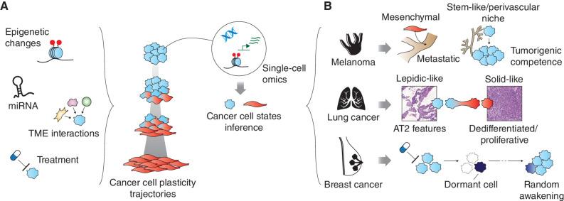 https://cdn.ncbi.nlm.nih.gov/pmc/blobs/3a00/10784746/6b256c650d80/36fig4.jpg