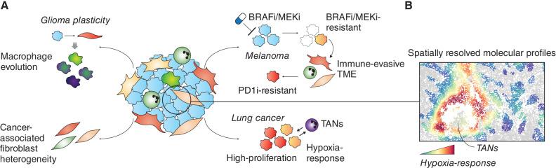 https://cdn.ncbi.nlm.nih.gov/pmc/blobs/3a00/10784746/b73f3def9272/36fig5.jpg
