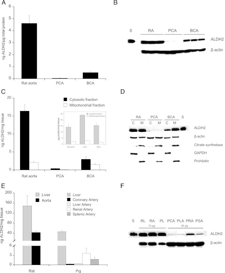 https://cdn.ncbi.nlm.nih.gov/pmc/blobs/3a00/4321882/34f48fc25cd9/gr4.jpg