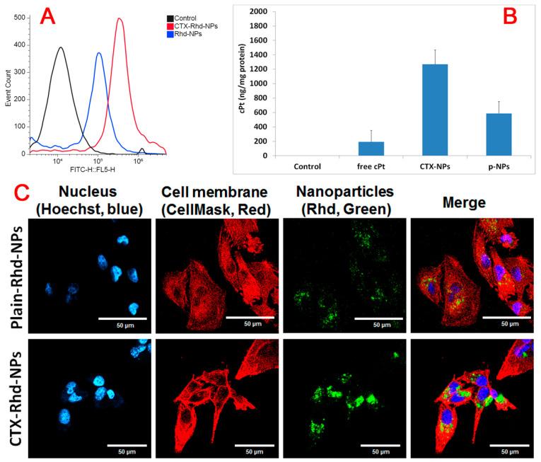 https://cdn.ncbi.nlm.nih.gov/pmc/blobs/3a02/12030066/a4fd7c156033/pharmaceutics-17-00425-g006.jpg