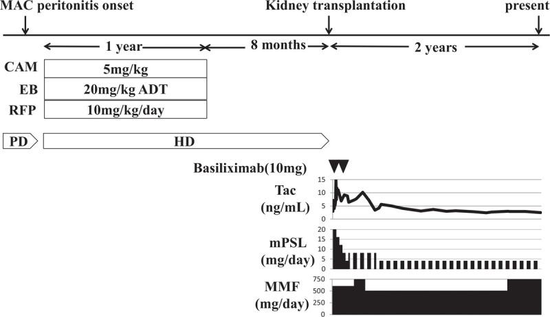 https://cdn.ncbi.nlm.nih.gov/pmc/blobs/3a04/8213271/a2d36735e2e5/medi-100-e26321-g001.jpg
