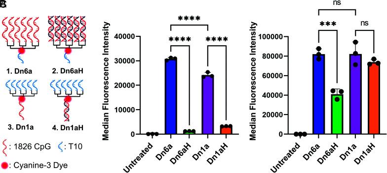 https://cdn.ncbi.nlm.nih.gov/pmc/blobs/3a05/9945956/cd8e3fb24f68/pnas.2215091120fig01.jpg