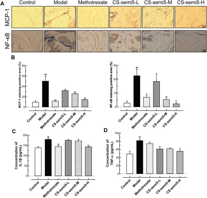 https://cdn.ncbi.nlm.nih.gov/pmc/blobs/3a06/8298759/32df6dce93b9/fphar-12-655101-g005.jpg