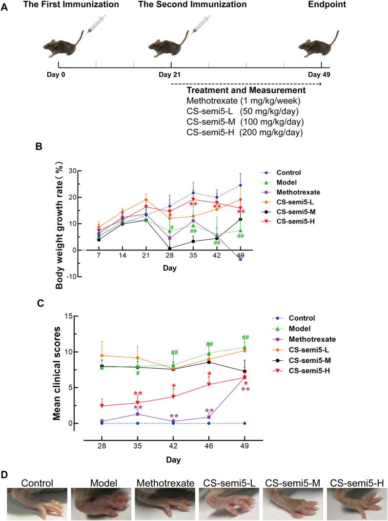 https://cdn.ncbi.nlm.nih.gov/pmc/blobs/3a06/8298759/a920666f73b8/fphar-12-655101-g001.jpg