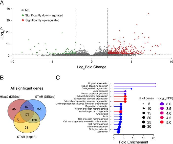 https://cdn.ncbi.nlm.nih.gov/pmc/blobs/3a07/11041787/d658f8d2ceb2/41380_2023_2152_Fig3_HTML.jpg