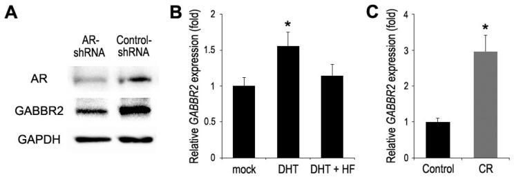 https://cdn.ncbi.nlm.nih.gov/pmc/blobs/3a09/10530579/4313a1a1337d/ijms-24-13733-g001.jpg
