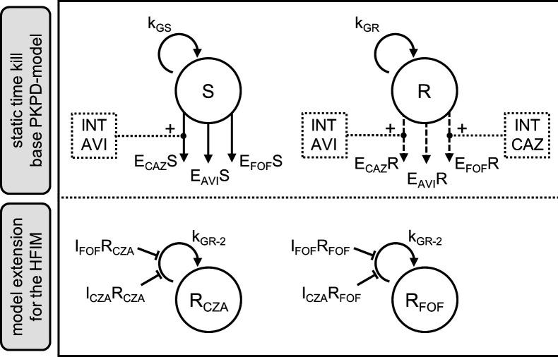 https://cdn.ncbi.nlm.nih.gov/pmc/blobs/3a0a/10783110/9d4b30bb7633/spectrum.03318-23.f003.jpg