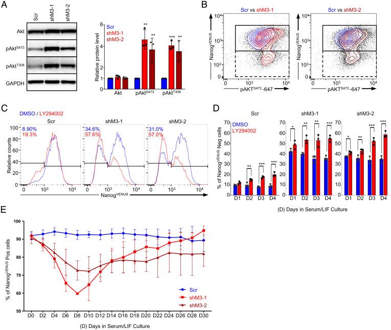 https://cdn.ncbi.nlm.nih.gov/pmc/blobs/3a0f/8713808/7948cfb489cf/pnas.2105192118fig05.jpg