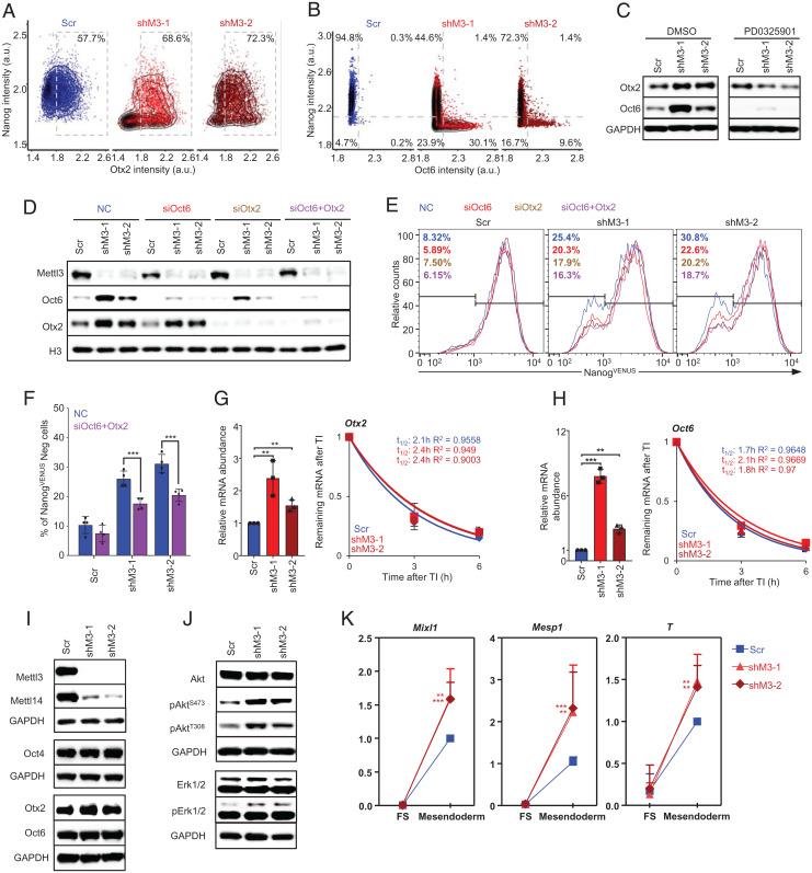https://cdn.ncbi.nlm.nih.gov/pmc/blobs/3a0f/8713808/f814ae280e4b/pnas.2105192118fig04.jpg