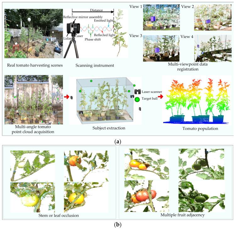 https://cdn.ncbi.nlm.nih.gov/pmc/blobs/3a10/12252095/9aa3ad2cc1a4/plants-14-02080-g001.jpg