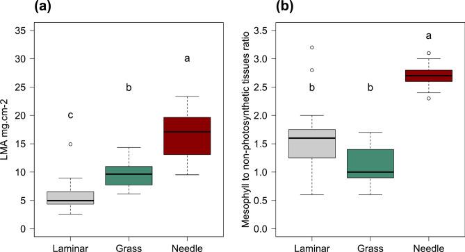 https://cdn.ncbi.nlm.nih.gov/pmc/blobs/3a12/11730753/dcf1bd0a61b6/41598_2024_84052_Fig2_HTML.jpg
