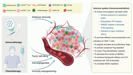 https://cdn.ncbi.nlm.nih.gov/pmc/blobs/3a14/12399610/2d1edb8ddd7f/MCO2-6-e70346-g005.jpg