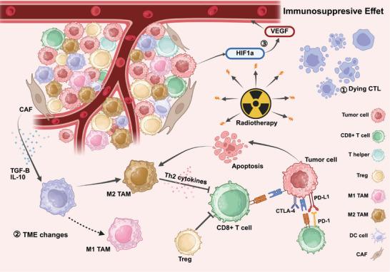 https://cdn.ncbi.nlm.nih.gov/pmc/blobs/3a14/12399610/dc733acc1af1/MCO2-6-e70346-g002.jpg