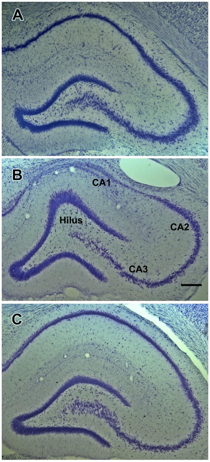 https://cdn.ncbi.nlm.nih.gov/pmc/blobs/3a14/3883667/1eececaf2714/pone.0084722.g005.jpg