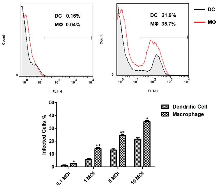 https://cdn.ncbi.nlm.nih.gov/pmc/blobs/3a17/4632742/ef7622a01395/ijms-16-24127-g002.jpg