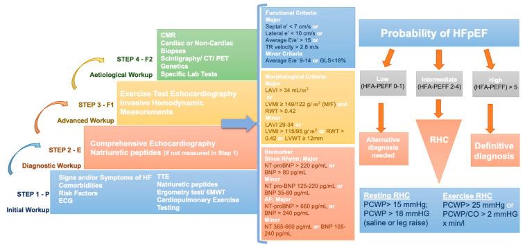 https://cdn.ncbi.nlm.nih.gov/pmc/blobs/3a18/10814482/25e737522870/diagnostics-14-00136-g002.jpg