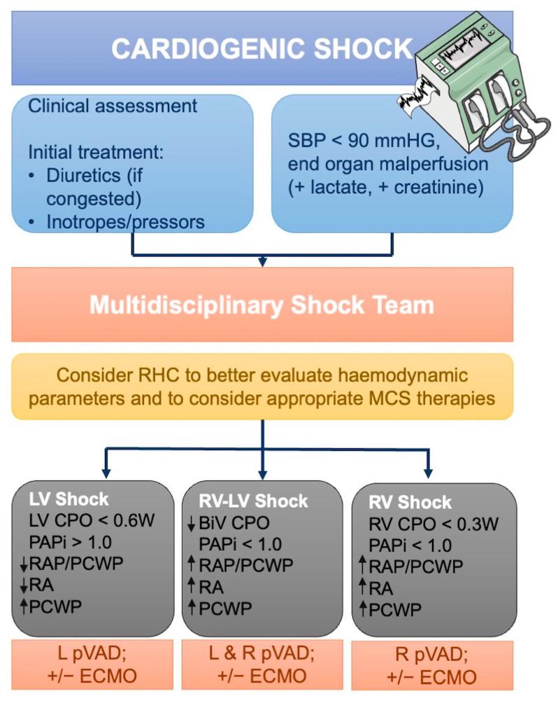 https://cdn.ncbi.nlm.nih.gov/pmc/blobs/3a18/10814482/863c6f9b8070/diagnostics-14-00136-g005.jpg