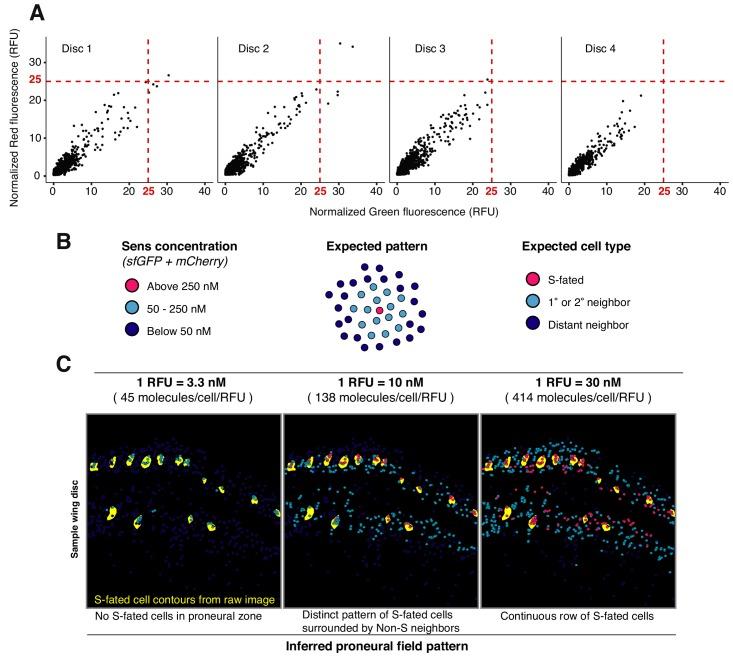 https://cdn.ncbi.nlm.nih.gov/pmc/blobs/3a18/7064346/e65f1fb4a8db/elife-53638-fig1-figsupp3.jpg