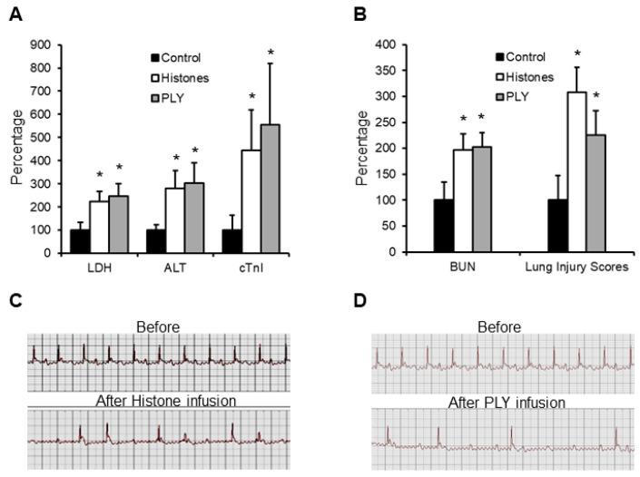 https://cdn.ncbi.nlm.nih.gov/pmc/blobs/3a19/9776026/fba412e2718e/biomedicines-10-03256-g002.jpg