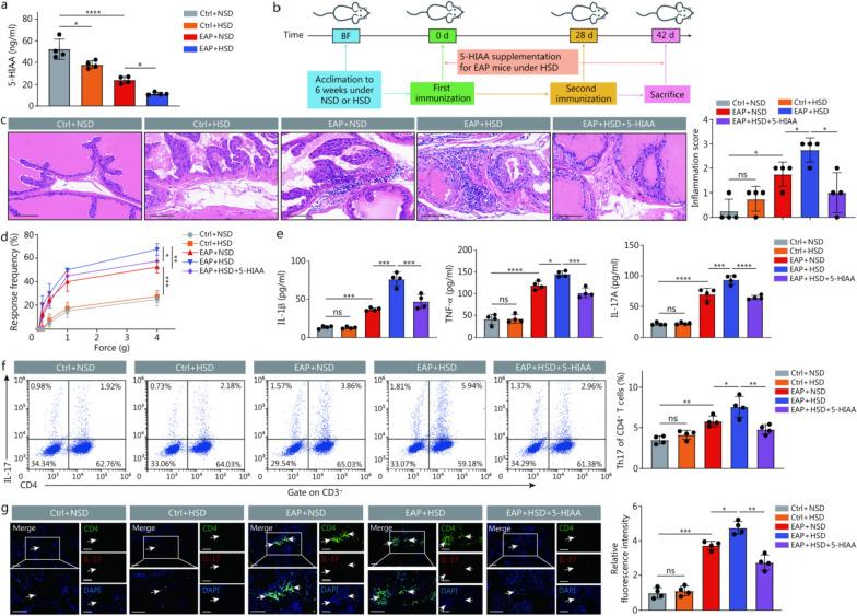 https://cdn.ncbi.nlm.nih.gov/pmc/blobs/3a1a/12087074/8b04b74ebd77/40779_2025_607_Fig5_HTML.jpg