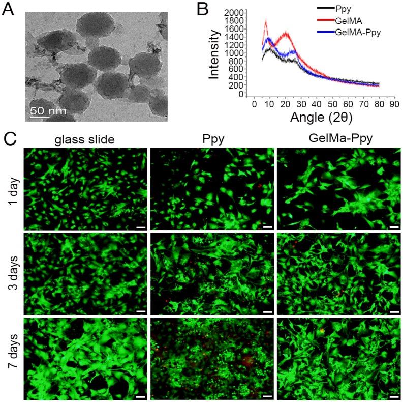 https://cdn.ncbi.nlm.nih.gov/pmc/blobs/3a1a/6217052/f983801b5e94/thnov08p5159g002.jpg