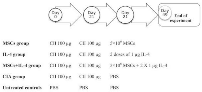 https://cdn.ncbi.nlm.nih.gov/pmc/blobs/3a1d/6721641/b698b188dadd/cells-08-00823-g001.jpg