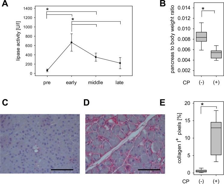 https://cdn.ncbi.nlm.nih.gov/pmc/blobs/3a1e/6773730/56cabf5da3c3/41598_2019_50682_Fig1_HTML.jpg