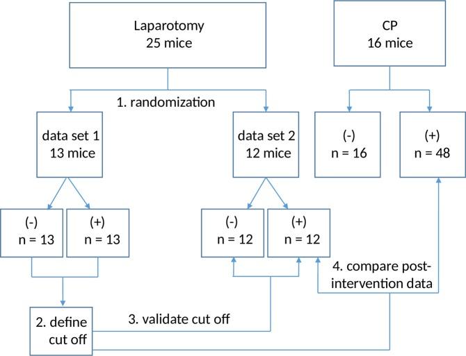 https://cdn.ncbi.nlm.nih.gov/pmc/blobs/3a1e/6773730/b60a863df9a4/41598_2019_50682_Fig5_HTML.jpg