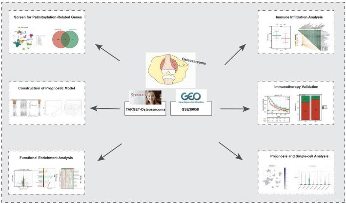 https://cdn.ncbi.nlm.nih.gov/pmc/blobs/3a20/12350906/4706037fa8da/12672_2025_3364_Fig1_HTML.jpg