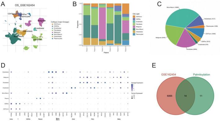 https://cdn.ncbi.nlm.nih.gov/pmc/blobs/3a20/12350906/cc408df7bb59/12672_2025_3364_Fig2_HTML.jpg