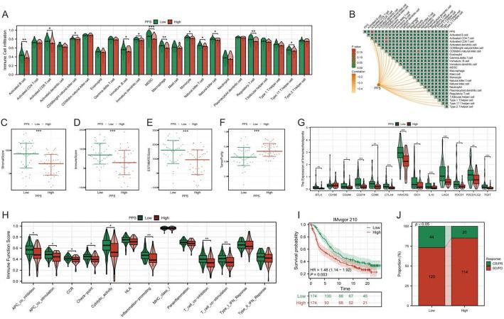 https://cdn.ncbi.nlm.nih.gov/pmc/blobs/3a20/12350906/e56214e28ce9/12672_2025_3364_Fig7_HTML.jpg