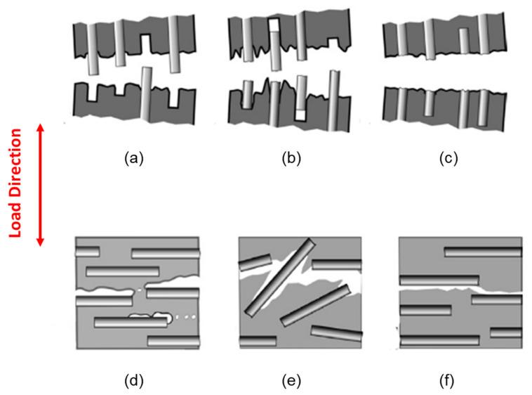 https://cdn.ncbi.nlm.nih.gov/pmc/blobs/3a20/8309329/9cff2459f6d5/polymers-13-02250-g001.jpg