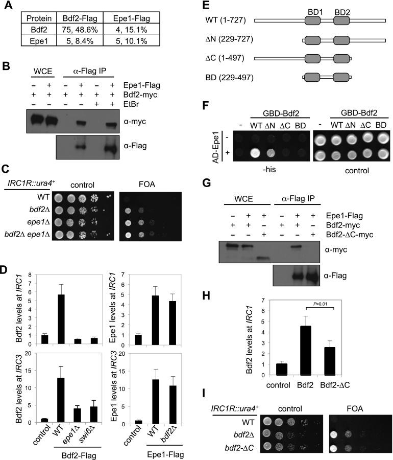 https://cdn.ncbi.nlm.nih.gov/pmc/blobs/3a21/3778242/d2faa8ac50e7/1886fig3.jpg