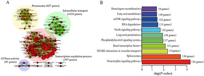 https://cdn.ncbi.nlm.nih.gov/pmc/blobs/3a21/5601685/000f601c08ea/oncotarget-08-58699-g006.jpg