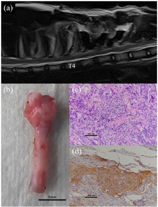 https://cdn.ncbi.nlm.nih.gov/pmc/blobs/3a22/5431438/367b9df7487a/10.1177_2055116917708060-fig4.jpg