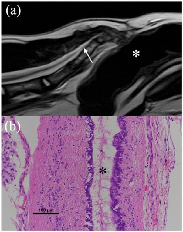 https://cdn.ncbi.nlm.nih.gov/pmc/blobs/3a22/5431438/5c7508dc686a/10.1177_2055116917708060-fig2.jpg