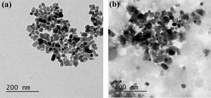 https://cdn.ncbi.nlm.nih.gov/pmc/blobs/3a23/7045307/11c7814c707c/ao9b03153_0004.jpg