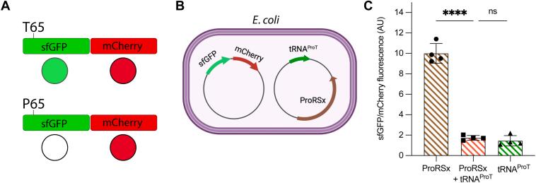 https://cdn.ncbi.nlm.nih.gov/pmc/blobs/3a24/10404621/0039b9b4e4ee/gr4.jpg