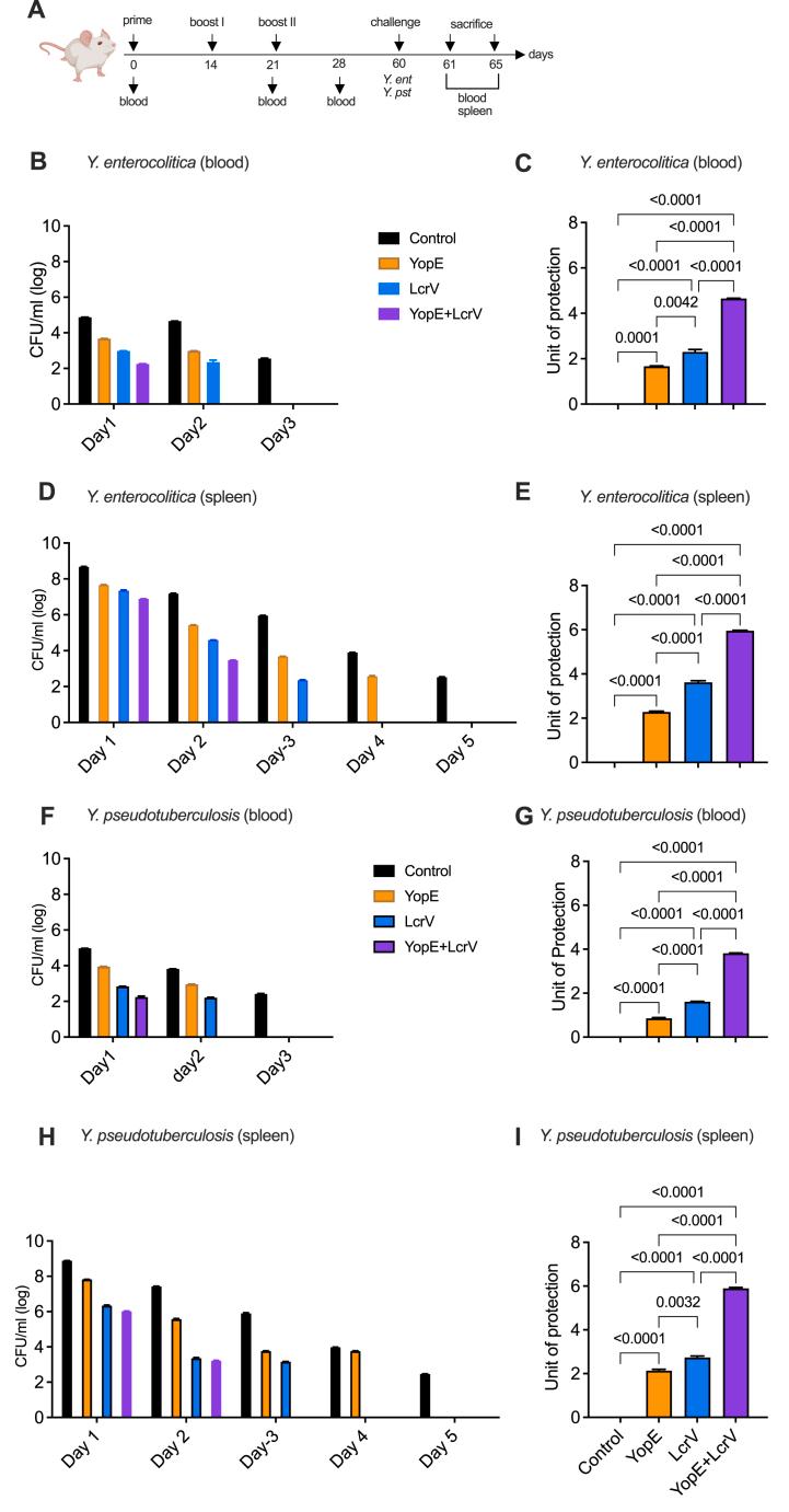 https://cdn.ncbi.nlm.nih.gov/pmc/blobs/3a25/11141369/20b0b468d70c/gr4.jpg