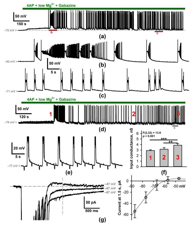 https://cdn.ncbi.nlm.nih.gov/pmc/blobs/3a25/8621524/4e075901fb6e/ijms-22-12174-g002.jpg