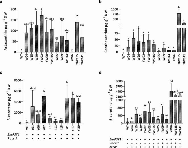 https://cdn.ncbi.nlm.nih.gov/pmc/blobs/3a26/12328620/59ecf3dc2c78/41598_2025_11916_Fig5_HTML.jpg