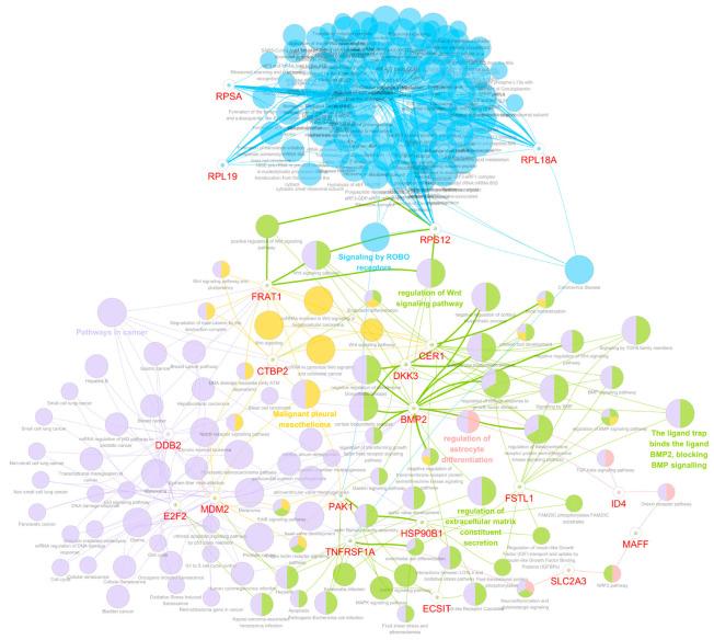 https://cdn.ncbi.nlm.nih.gov/pmc/blobs/3a27/11048596/450432528551/biomedicines-12-00858-g005.jpg