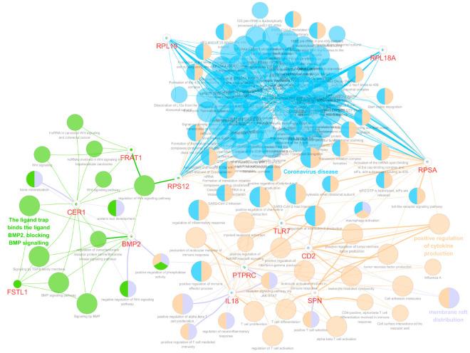 https://cdn.ncbi.nlm.nih.gov/pmc/blobs/3a27/11048596/5aa994aa5627/biomedicines-12-00858-g004.jpg