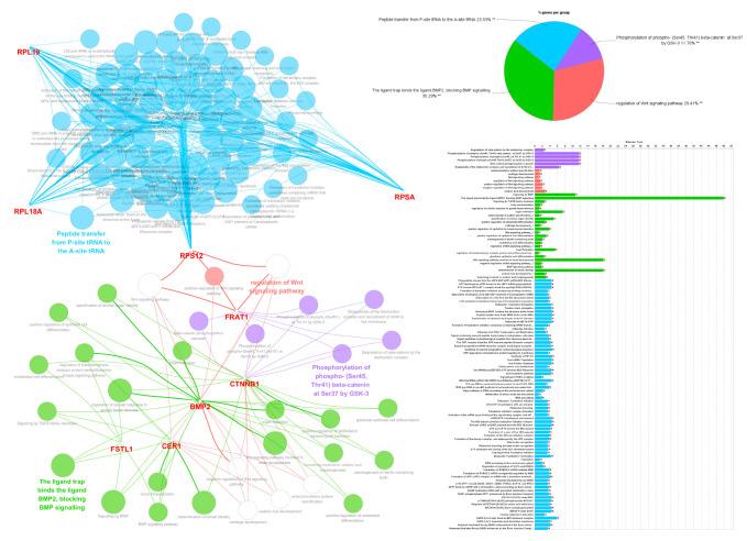 https://cdn.ncbi.nlm.nih.gov/pmc/blobs/3a27/11048596/881853208d54/biomedicines-12-00858-g003.jpg