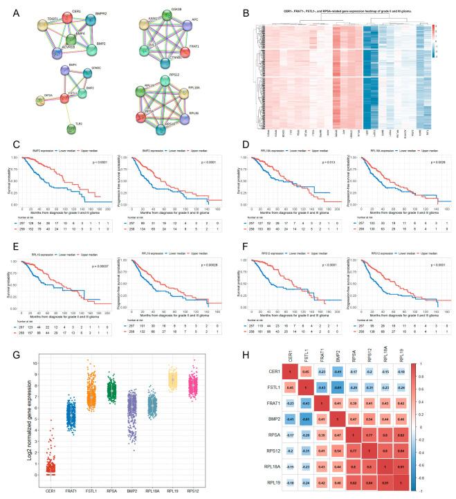 https://cdn.ncbi.nlm.nih.gov/pmc/blobs/3a27/11048596/a39de4eabf37/biomedicines-12-00858-g002.jpg
